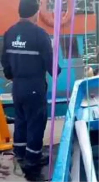 Nesli tükenmekte olan su samuru böyle görüntülendi Nesli tükenmekte olan su samuru böyle görüntülendi