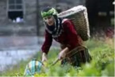 Pandemide evde kalan çay içti, tüketim arttı Pandemide evde kalan çay içti, tüketim arttı