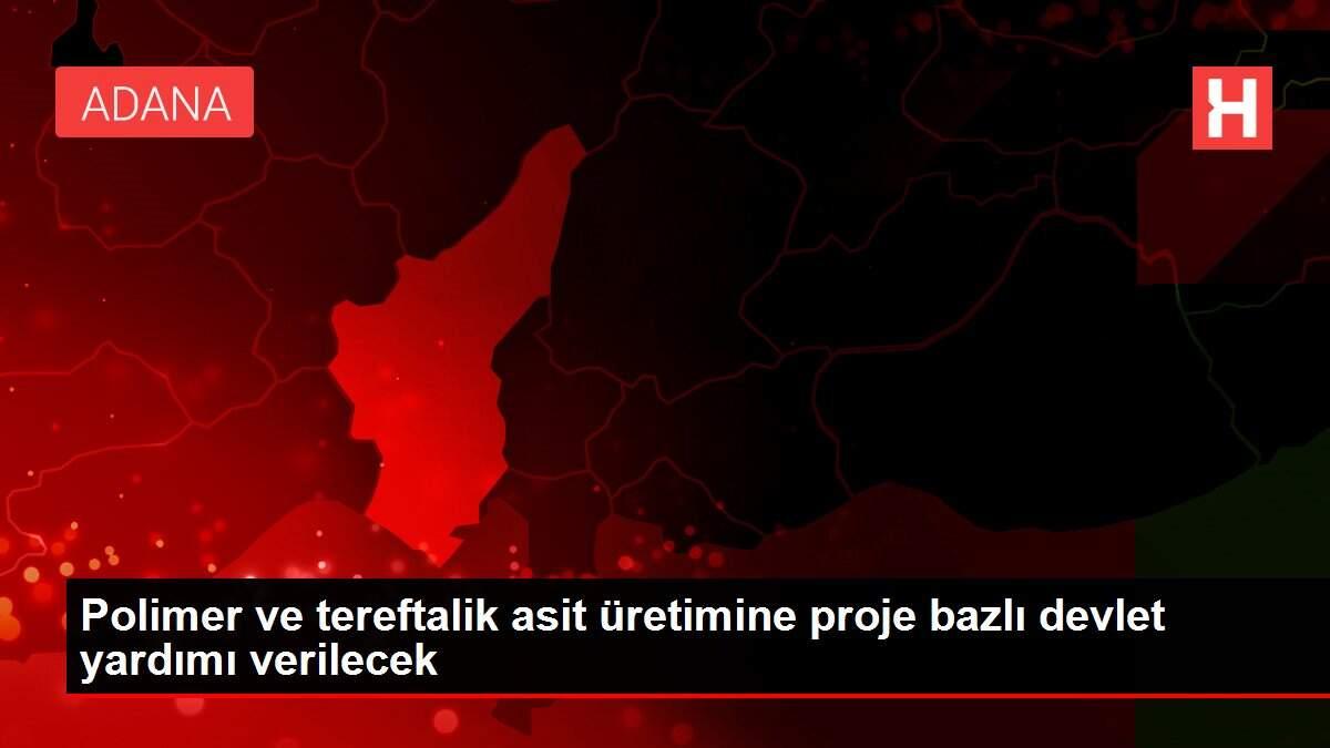 Polimer ve tereftalik asit üretimine proje bazlı devlet yardımı verilecek Polimer ve tereftalik asit üretimine proje bazlı devlet yardımı verilecek
