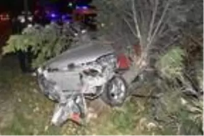 Son dakika haberleri: Refüjdeki ağaca çarpan otomobilin sürücüsü öldü Son dakika haberleri: Refüjdeki ağaca çarpan otomobilin sürücüsü öldü