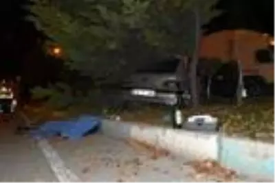 Son dakika haberleri: Refüjdeki ağaca çarpan otomobilin sürücüsü öldü Son dakika haberleri: Refüjdeki ağaca çarpan otomobilin sürücüsü öldü