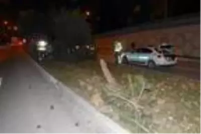 Son dakika haberleri: Refüjdeki ağaca çarpan otomobilin sürücüsü öldü Son dakika haberleri: Refüjdeki ağaca çarpan otomobilin sürücüsü öldü