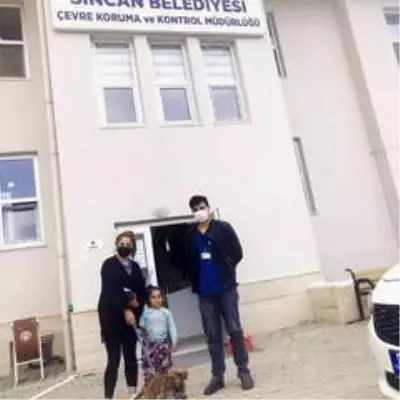 Sincan Belediyesi bu yıl 275 can dostunu sahiplendirdi Sincan Belediyesi bu yıl 275 can dostunu sahiplendirdi