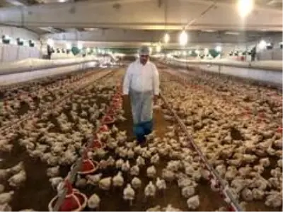 Suudi Arabistan, Türkiye'den hayvani ürün ithalatını yasakladı Suudi Arabistan, Türkiye'den hayvani ürün ithalatını yasakladı