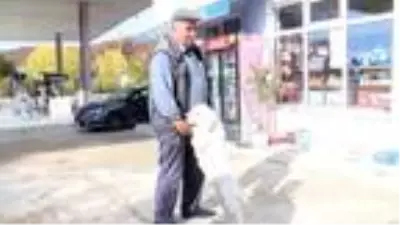Tüfekle vurulup, patileri kesilen 'Pamuk'un sahibi: Vuran değil de, sahibi ve komşusu suçlu gösteriliyor Tüfekle vurulup, patileri kesilen 'Pamuk'un sahibi: Vuran değil de, sahibi ve komşusu suçlu gösteriliyor