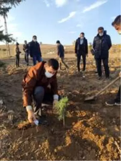 Türkeş'in doğumun gününde 103 fidan toprakla buluştu Türkeş'in doğumun gününde 103 fidan toprakla buluştu