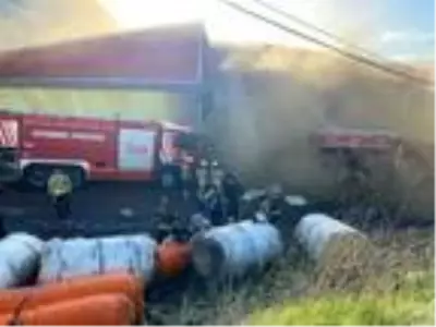 Son dakika haberleri... Tuzla'da sünger fabrikasında yangın Son dakika haberleri... Tuzla'da sünger fabrikasında yangın