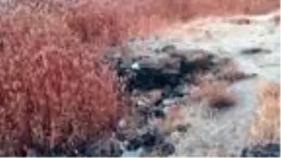 Van Gölü çekilince Urartular dönemine ait liman kalıntıları ortaya çıktı Van Gölü çekilince Urartular dönemine ait liman kalıntıları ortaya çıktı