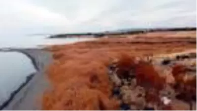 Van Gölü çekilince Urartular dönemine ait liman kalıntıları ortaya çıktı Van Gölü çekilince Urartular dönemine ait liman kalıntıları ortaya çıktı