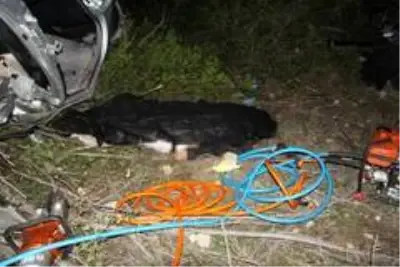 Son dakika haber! Virajı alamayan araç tarlaya uçtu, sürücü hayatını kaybetti Son dakika haber! Virajı alamayan araç tarlaya uçtu, sürücü hayatını kaybetti