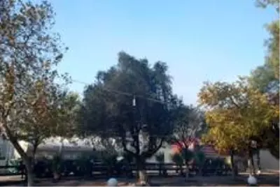 Son dakika haber! Yangında restoran kullanılamaz hale geldi Son dakika haber! Yangında restoran kullanılamaz hale geldi