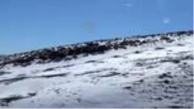 Yüksek kesimlere kar yağınca besiciler hayvanlarını ovaya indirdi Yüksek kesimlere kar yağınca besiciler hayvanlarını ovaya indirdi