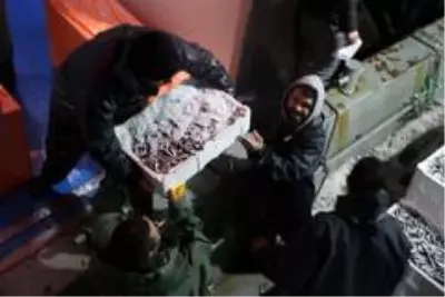 Zonguldak'ta balıkçılar 10 ton hamsi ile limana yanaştı Zonguldak'ta balıkçılar 10 ton hamsi ile limana yanaştı
