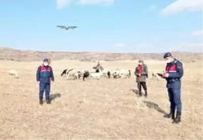 30 küçükbaş hayvan 'drone' yardımıyla bulundu 30 küçükbaş hayvan 'drone' yardımıyla bulundu