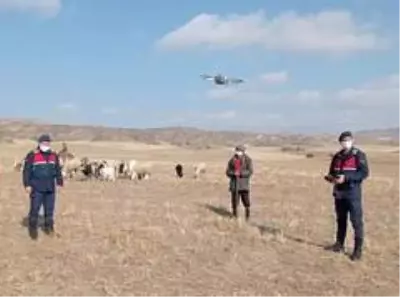 30 küçükbaş hayvan 'drone' yardımıyla bulundu 30 küçükbaş hayvan 'drone' yardımıyla bulundu