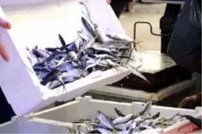 65 yaş üstü kısıtlaması balıkçıları vurdu 65 yaş üstü kısıtlaması balıkçıları vurdu
