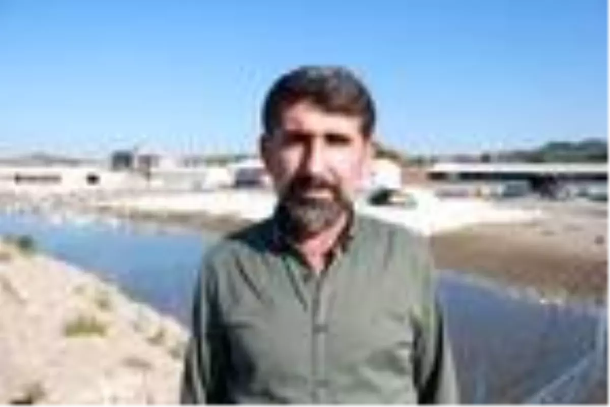 Adana'da hobi için beslediği kazlarla çiftlik kurdu, Türkiye'nin her yerine satış yapıyor