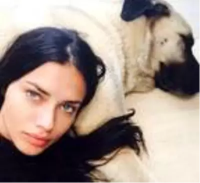 Adriana Lima'ya Sivas'tan 3'üncü 'Kangal köpeği' çağrısı Adriana Lima'ya Sivas'tan 3'üncü 'Kangal köpeği' çağrısı