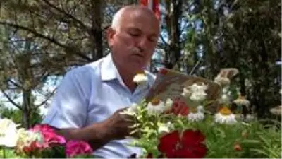 Akıncı Üssü davasındaki karara şehit babasından tepki: 'Bir defa bu şehit ailelerin yüreğinin soğuması için 'kısasa kısas' bunların cezası 'idam'... Akıncı Üssü davasındaki karara şehit babasından tepki: 'Bir defa bu şehit ailelerin yüreğinin soğuması için 'kısasa kısas' bunların cezası 'idam'...
