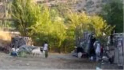 Son dakika haberleri: Annesi ölen kuzu, evin çocuklarının 'arkadaşı' oldu Son dakika haberleri: Annesi ölen kuzu, evin çocuklarının 'arkadaşı' oldu