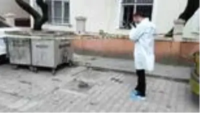 Avcılar'da çöp konteynerinin yanında bebek cesedi bulundu Avcılar'da çöp konteynerinin yanında bebek cesedi bulundu