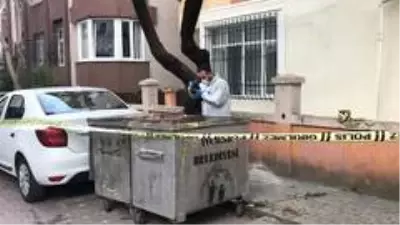 Avcılar'da kan donduran olay, çöpten yeni doğmuş bebek cesedi çıktı Avcılar'da kan donduran olay, çöpten yeni doğmuş bebek cesedi çıktı