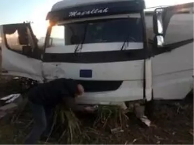 Burhaniye'de kamyon ve traktör çarpıştı: 1 yaralı Burhaniye'de kamyon ve traktör çarpıştı: 1 yaralı