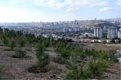 Ceren Damar Şenel'in adı Ankara'da hatıra ormanında yaşayacak Ceren Damar Şenel'in adı Ankara'da hatıra ormanında yaşayacak