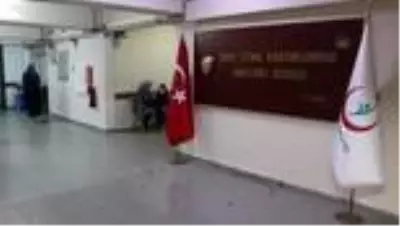 Çift rahimli kadın, her bir rahminden birer bebek dünyaya getirdi Çift rahimli kadın, her bir rahminden birer bebek dünyaya getirdi