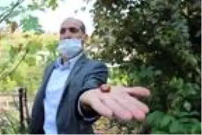 Diyarbakır'ın 'Küçük Antalya'sında her çeşit meyve yetişiyor Diyarbakır'ın 'Küçük Antalya'sında her çeşit meyve yetişiyor
