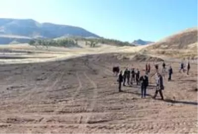 Doğu'nun ceviz bahçesi büyümeye devam ediyor Doğu'nun ceviz bahçesi büyümeye devam ediyor