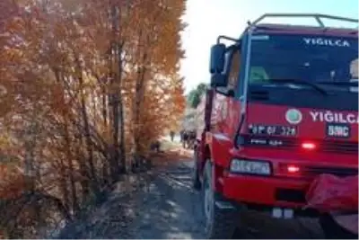 Düzce'de orman yangını kısa sürede söndürüldü Düzce'de orman yangını kısa sürede söndürüldü