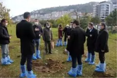 Giresunlu Ülkücüler, Alparslan Türkeş'in anısına fidan dikti Giresunlu Ülkücüler, Alparslan Türkeş'in anısına fidan dikti