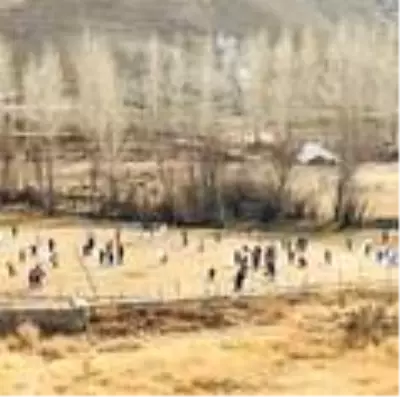 Gürpınar'da uçurtma şenliği Gürpınar'da uçurtma şenliği