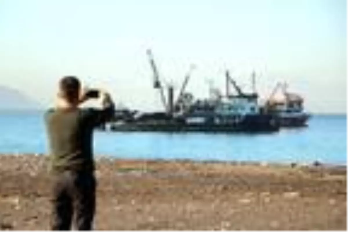 Hamsi bolluğu, fiyatlara yansımaya başladı