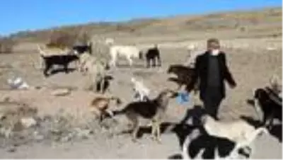 Hayvansever aile, salgınla zorlaşan şartlara rağmen sokak hayvanlarını unutmuyor Hayvansever aile, salgınla zorlaşan şartlara rağmen sokak hayvanlarını unutmuyor