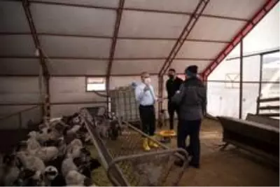 Kayseri Tarım ve Orman Müdürü Şahin'den hayvancılık işletmesine ziyaret Kayseri Tarım ve Orman Müdürü Şahin'den hayvancılık işletmesine ziyaret