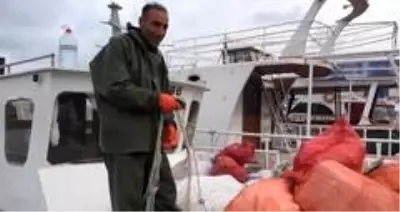 Son dakika haberi! İnci kefalinin av sezonu başladı Son dakika haberi! İnci kefalinin av sezonu başladı