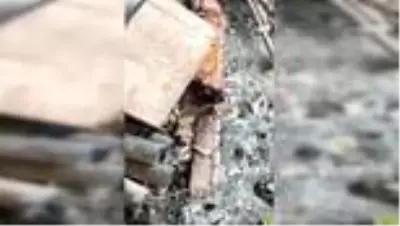 Irak'ın kuzeyinde PKK'ya ait silah, mühimmat ve yaşam malzemesi ele geçirildi Irak'ın kuzeyinde PKK'ya ait silah, mühimmat ve yaşam malzemesi ele geçirildi