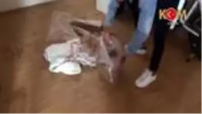 Kaçak sigara imalatı yaptığı iddia edilen 5 kişi yakalandı Kaçak sigara imalatı yaptığı iddia edilen 5 kişi yakalandı