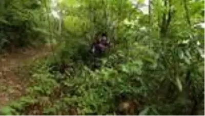 KASTAMONU - Alzaymır hastası kayıp kadından bir aydır haber alınamıyor KASTAMONU - Alzaymır hastası kayıp kadından bir aydır haber alınamıyor