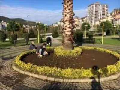 Kdz. Ereğli kış çiçeklerine kavuştu Kdz. Ereğli kış çiçeklerine kavuştu