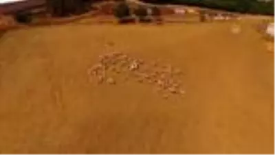 KIRKLARELİ - 35 milyon liralık süt ve süt ürünü ihracatı yapıldı KIRKLARELİ - 35 milyon liralık süt ve süt ürünü ihracatı yapıldı