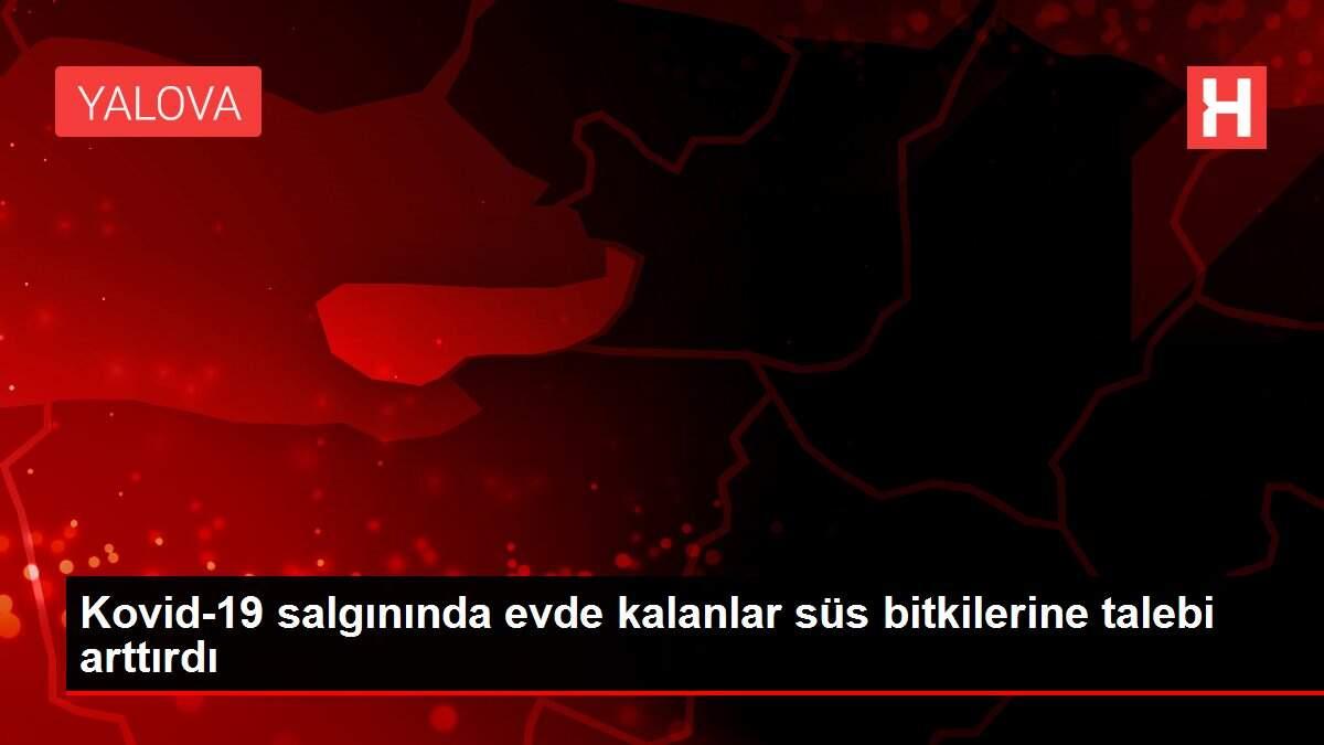 Kovid-19 salgınında evde kalanlar süs bitkilerine talebi arttırdı Kovid-19 salgınında evde kalanlar süs bitkilerine talebi arttırdı