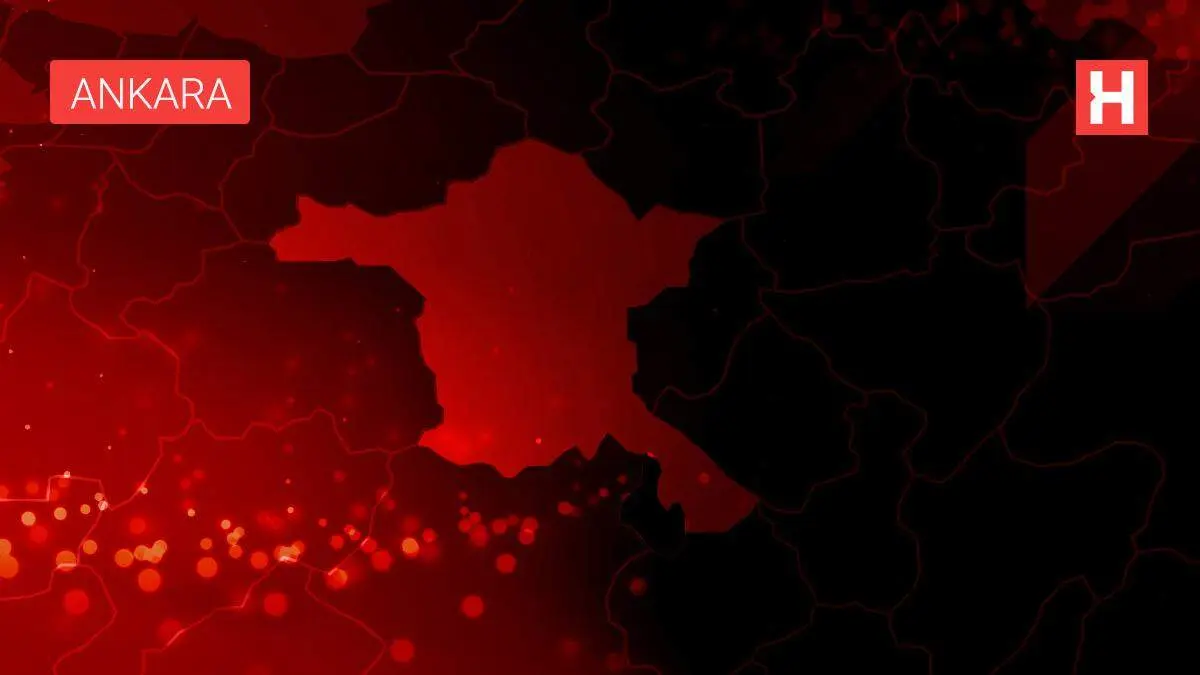 Son dakika haberleri... Macaristan'daki yatırım olanakları Trabzon iş dünyasına anlatıldı Son dakika haberleri... Macaristan'daki yatırım olanakları Trabzon iş dünyasına anlatıldı