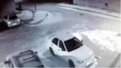 Mahalleye inen bozayıların yiyecek arayışı güvenlik kamerasında Mahalleye inen bozayıların yiyecek arayışı güvenlik kamerasında