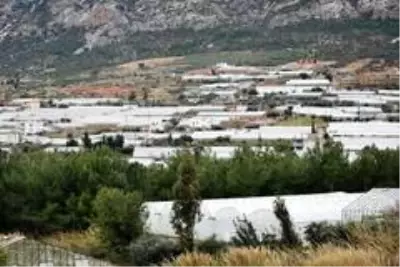 Mersin tarımının gayri safi yurtiçi hasılaya katkısı 14,3 milyar TL Mersin tarımının gayri safi yurtiçi hasılaya katkısı 14,3 milyar TL