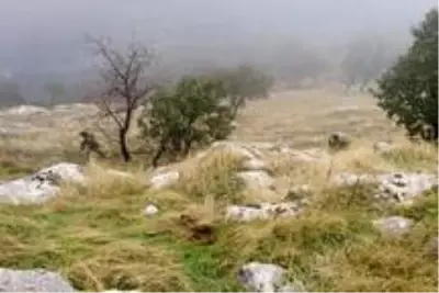 Irak'ın kuzeyinde PKK'ya ait silah, mühimmat ve yaşam malzemesi ele geçirildi Irak'ın kuzeyinde PKK'ya ait silah, mühimmat ve yaşam malzemesi ele geçirildi