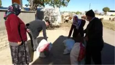 Muş'tan batı illerine kışlık erzak Muş'tan batı illerine kışlık erzak