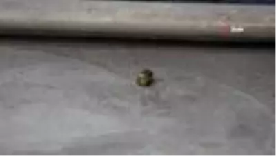 Önce kovaladı, sonra silahla vurdu Önce kovaladı, sonra silahla vurdu